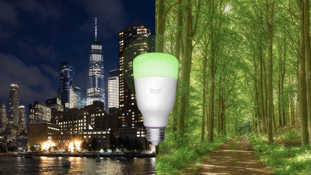 Smart bulb symbolizing the bridge between urban energy consumption and environmental conservation